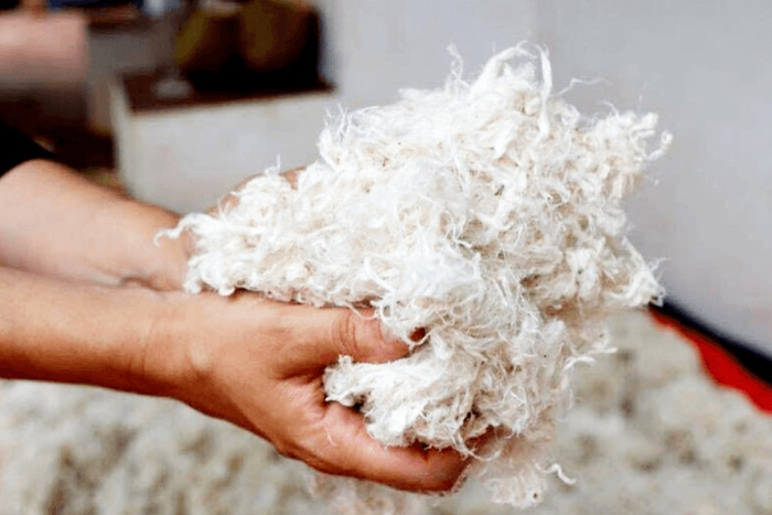 Bụi vải công nghiệp