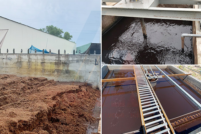 Đặc điểm nước thải chế biến mụn dừa
