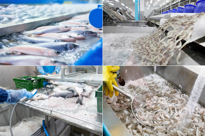 Nguồn phát sinh nước thải chế biến thủy sản