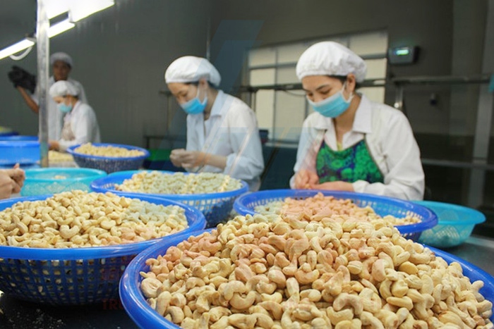 Xử lý nước thải chế biến hạt điều