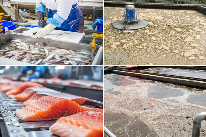 Đặc điểm của nước thải thủy sản