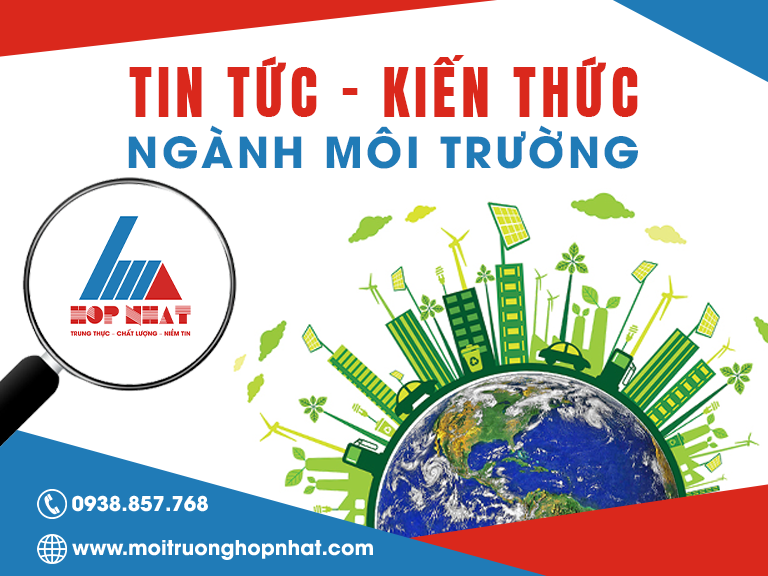 Hồ sơ năng lực