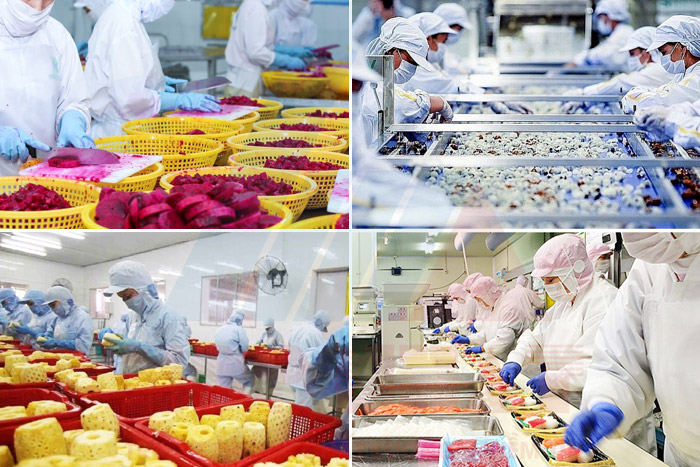 Xử lý nước thải chế biến thực phẩm